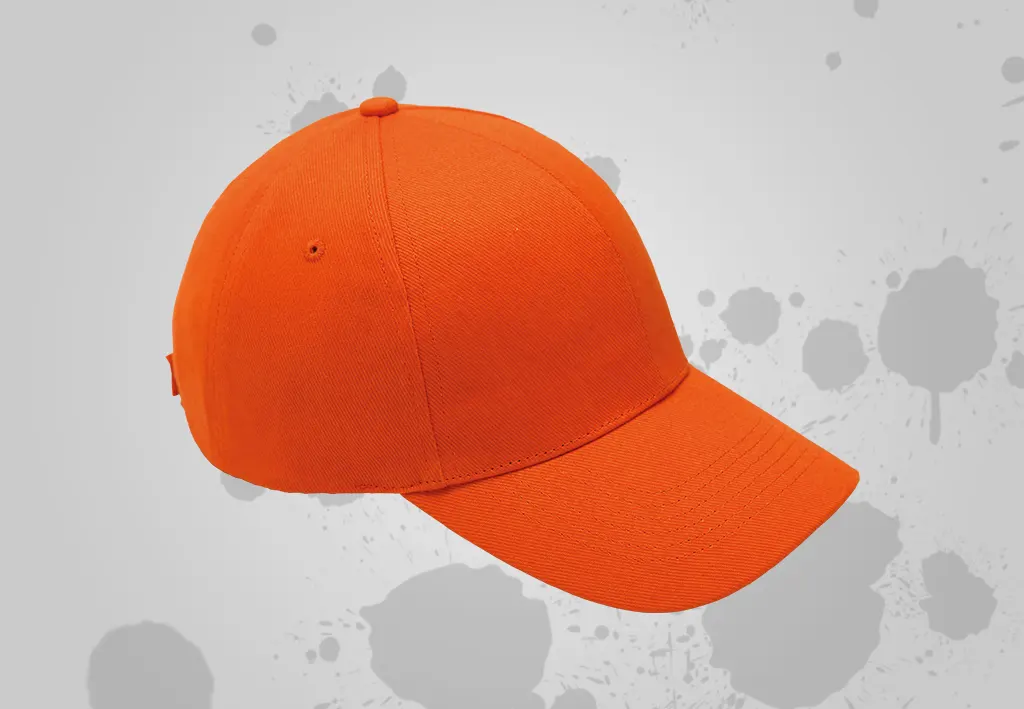 Printed and Embroidered Caps