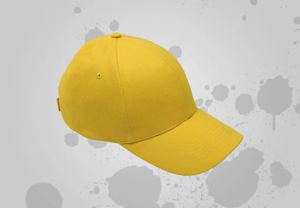 Printed and Embroidered Caps